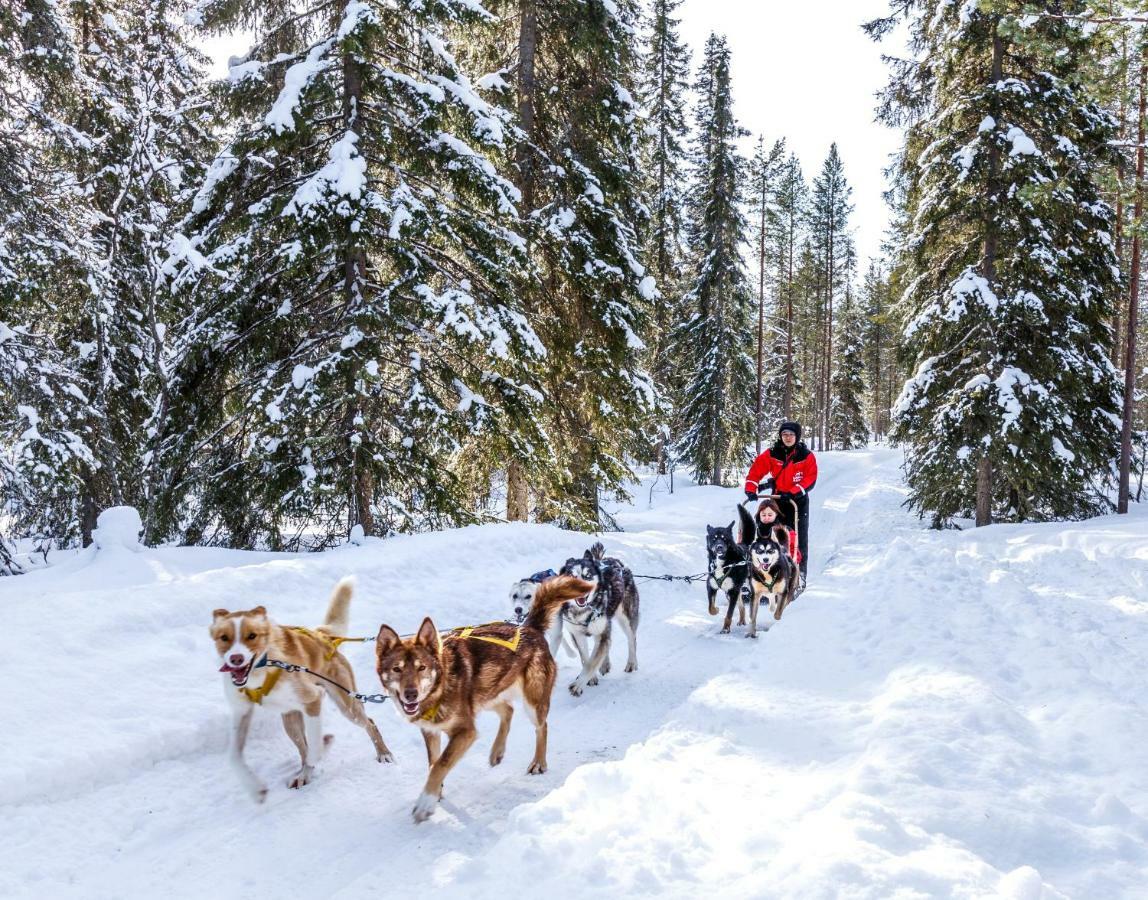 Lapland Hotels Bear'S Lodge Sinettä Eksteriør bilde